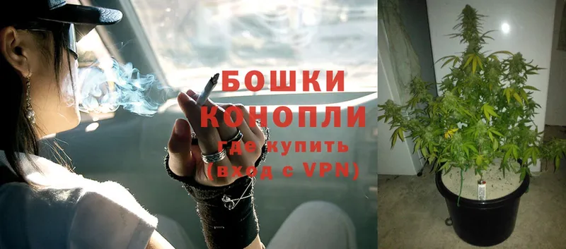 МАРИХУАНА SATIVA & INDICA  Карачев 